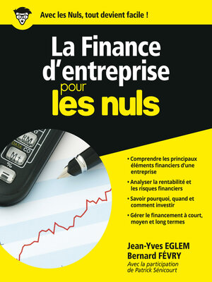 cover image of La Finance d'entreprise pour les Nuls